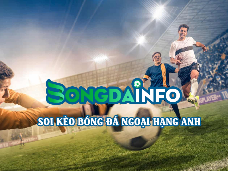 bongdainfo.com soi kèo bóng đá