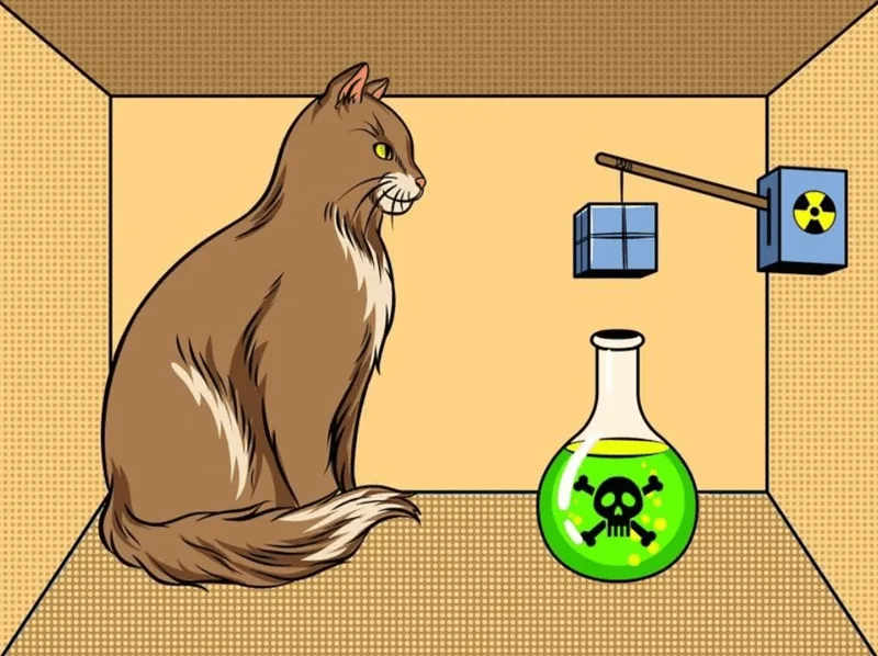 Nghịch lý con mèo của Schrödinger - hình ảnh biểu tượng mô tả trạng thái chồng chập lượng tử.