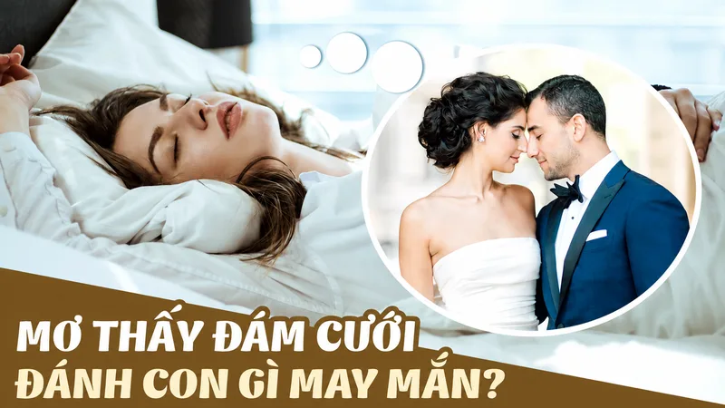 Những con số gắn với giấc mơ đám cưới chỉ là quan niệm dân gian và không có cơ sở dự đoán chắc chắn