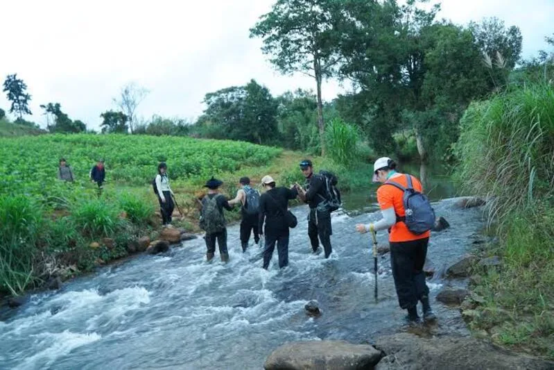 Khi Trekking Núi Dinh, du khách không nên tách đoàn, tự ý đi đường lạ hoặc xuống suối khi dòng nước chảy mạnh