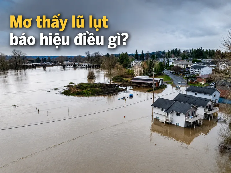 Mơ thấy lũ lụt báo hiệu điều gì và cách lý giải chính xác