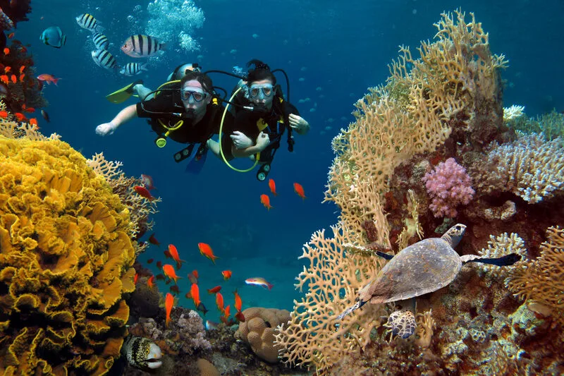 Scuba diving có thể tiềm ẩn rủi ro nếu người lặn không được đào tạo hoặc không tuân thủ quy trình an toàn