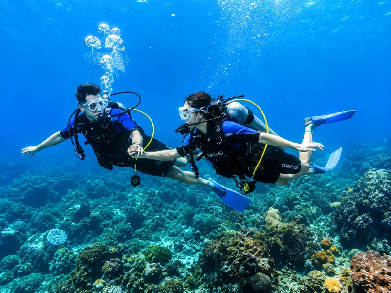 Kiểm soát độ nổi, giao tiếp và giữ bình tĩnh là những kỹ năng nền tảng của môn scuba diving